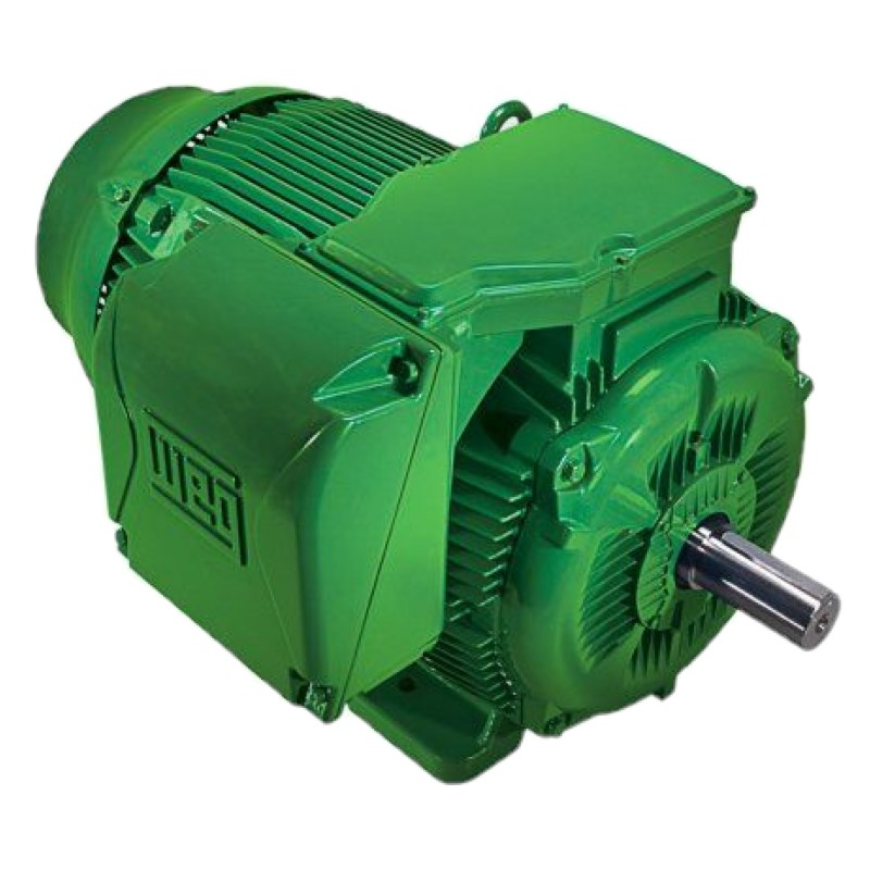 Weg 22 Motor